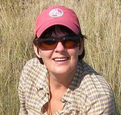 乐动网页版登录入口创新论坛第一千五百四十四讲：Intra-plate oceanic island basalts:  retrospective and perspectives 