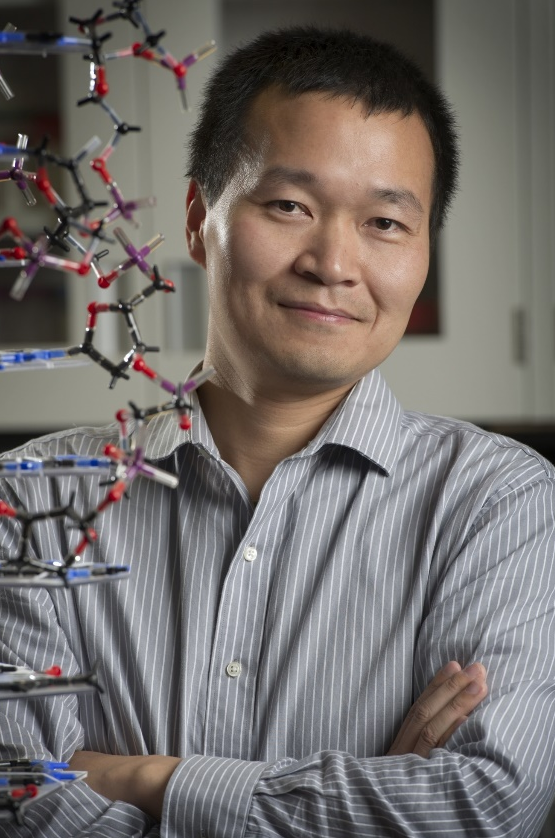 乐动网页版登录入口创新论坛第一千九百七十八讲：核酸适配体筛选：从小分子到微塑料