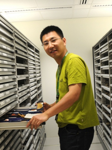 乐动网页版登录入口创新论坛第一千八百零一讲：虫鸣凤舞伴花香：现代陆地生态系统的起源