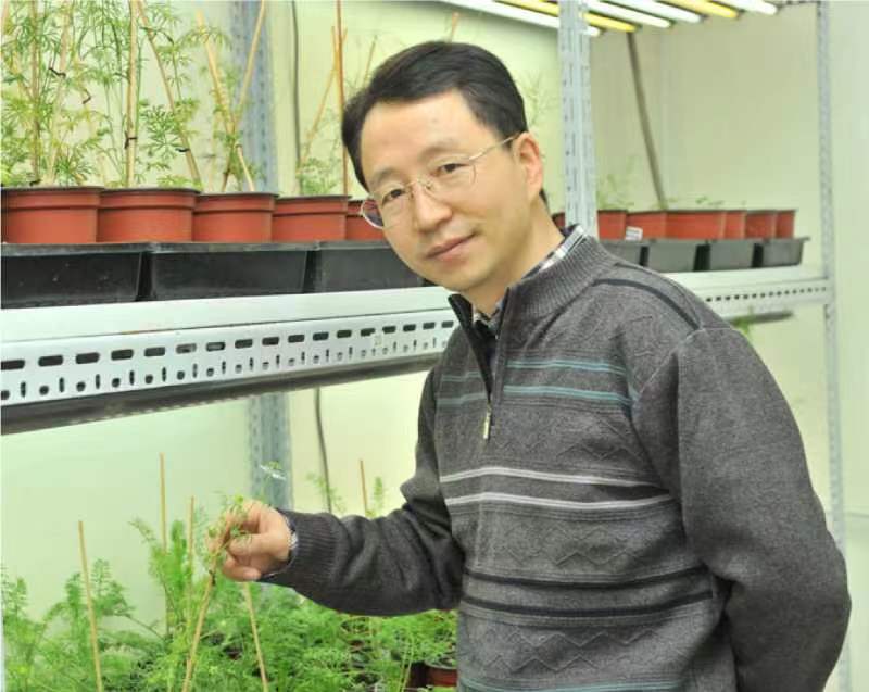 乐动网页版登录入口创新论坛第一千二百六十八讲暨120周年校庆年系列活动：复杂花瓣的发育与进化