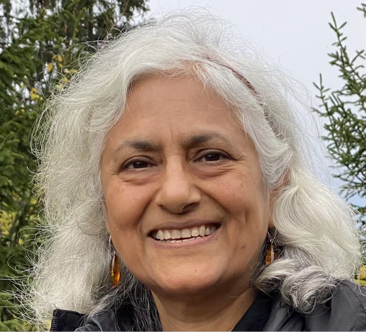 乐动网页版登录入口创新论坛第一千七百三十九讲：Fractionalized excitations in Quantum Spin Liquids and their Detection